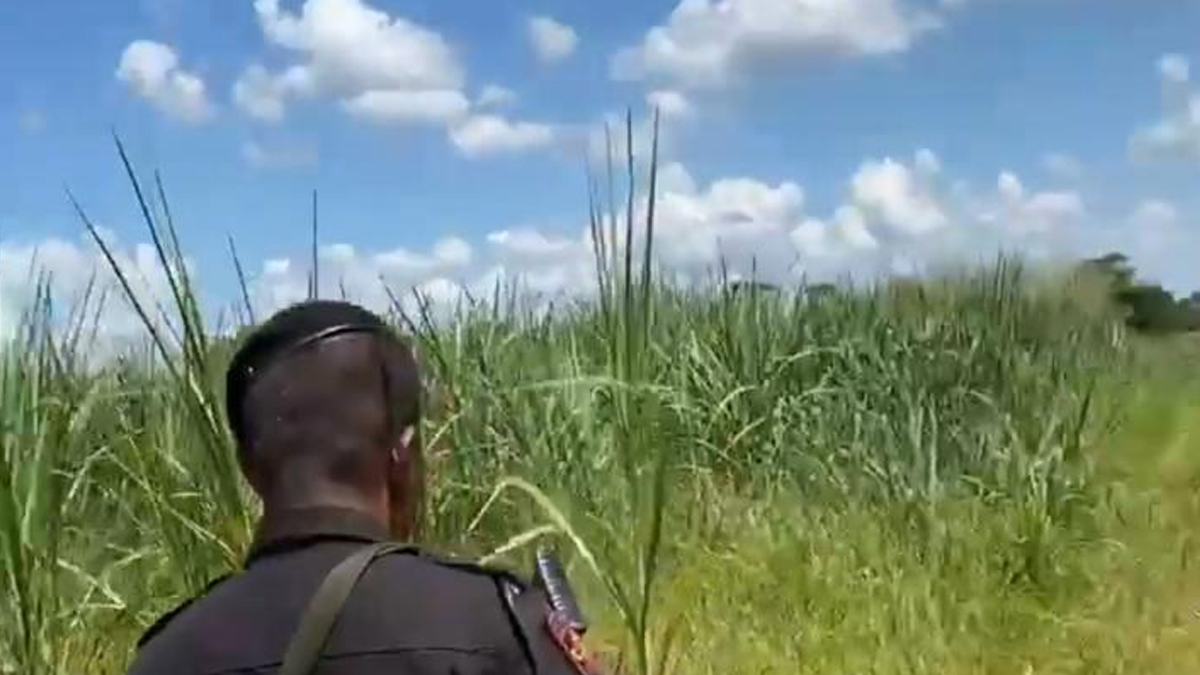 Suspeito de chacina no DF libera reféns e foge pelo rio após troca de tiros