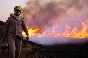 Bombeiros de Goiás revelou que, desde 2011 a corporação já atendeu em média 6,5 mil ocorrências de combate a incêndios em vegetação por ano