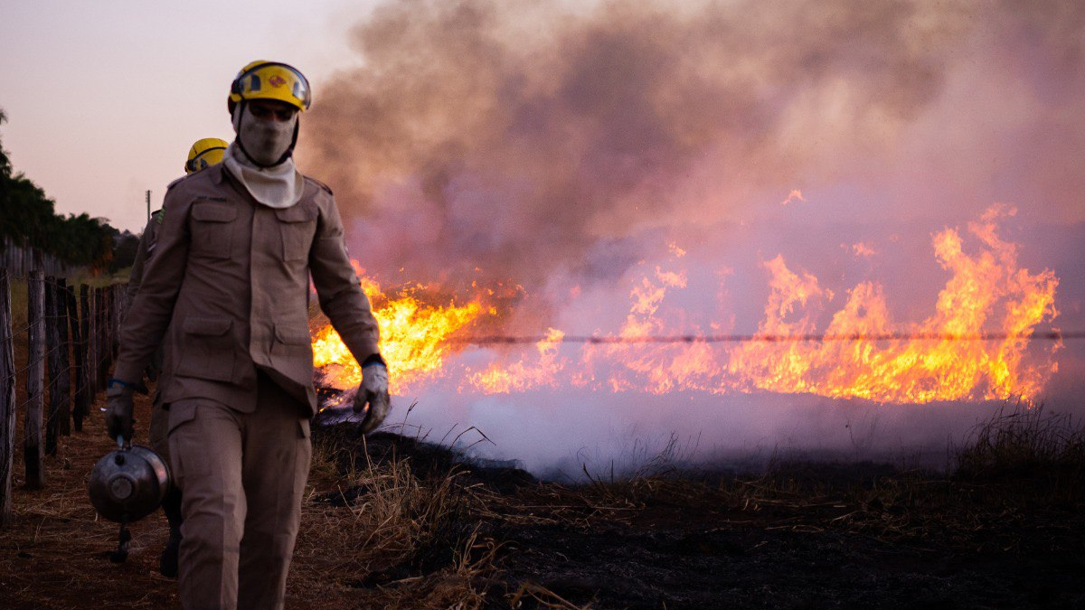 Bombeiros de Goiás revelou que, desde 2011 a corporação já atendeu em média 6,5 mil ocorrências de combate a incêndios em vegetação por ano