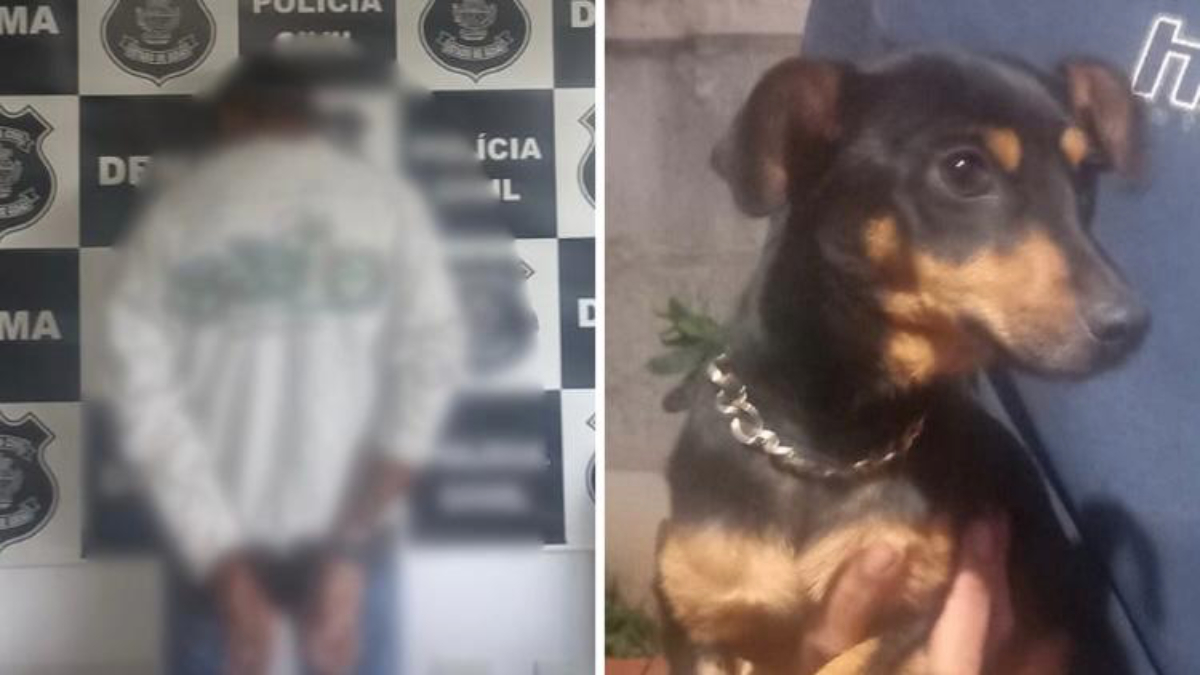 Um homem foi preso suspeito de praticar zoofilia contra duas cadelas, de médio e pequeno porte, em Goianira. Vídeo mostra ato sexual