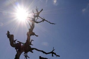 Calamidade pública: Falta de chuvas afetam 20 cidades em Goiás