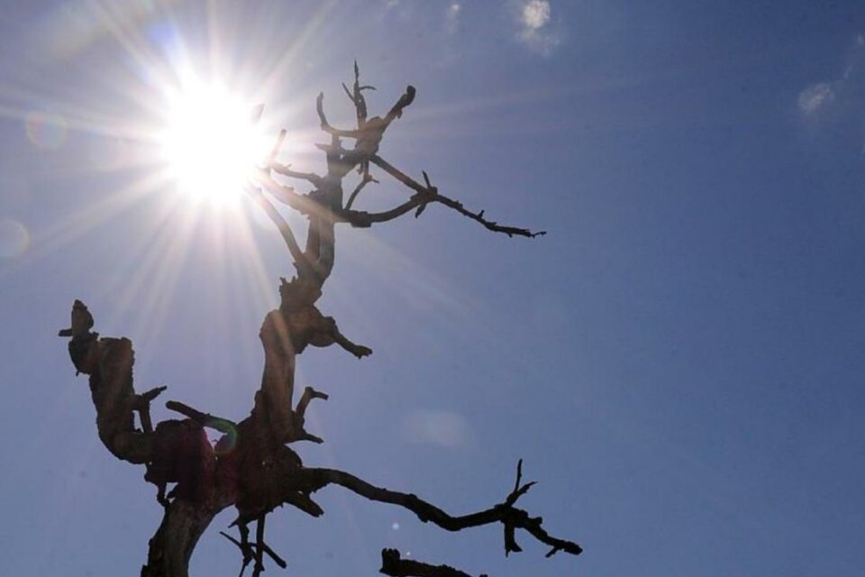 Calamidade pública: Falta de chuvas afetam 20 cidades em Goiás
