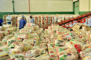 Cestas básicas adquiridas pelo governo de Goiás (Foto: Governo do Estado)