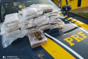 Segundo a PRF, o suspeito alegou que pegou a droga no Pará e que a levaria pra Feira de Santana, na Bahia