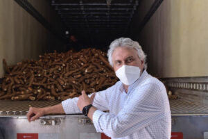 Caiado: Ambev já adquiriu 1.202 toneladas de mandioca para a produção de cerveja