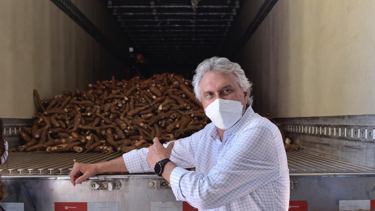 Caiado: Ambev já adquiriu 1.202 toneladas de mandioca para a produção de cerveja