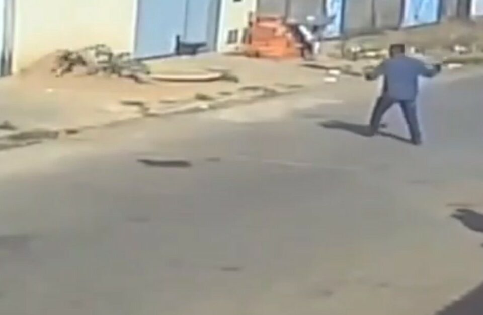 Homem mata cachorro com pedrada, em Aparecida (Foto: Divulgação/PolíciCivil)