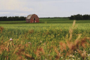 Propriedade rural na província de Shaskatshewan, no Canadá, onde os corpos foram encontrados (Foto: Instagram)