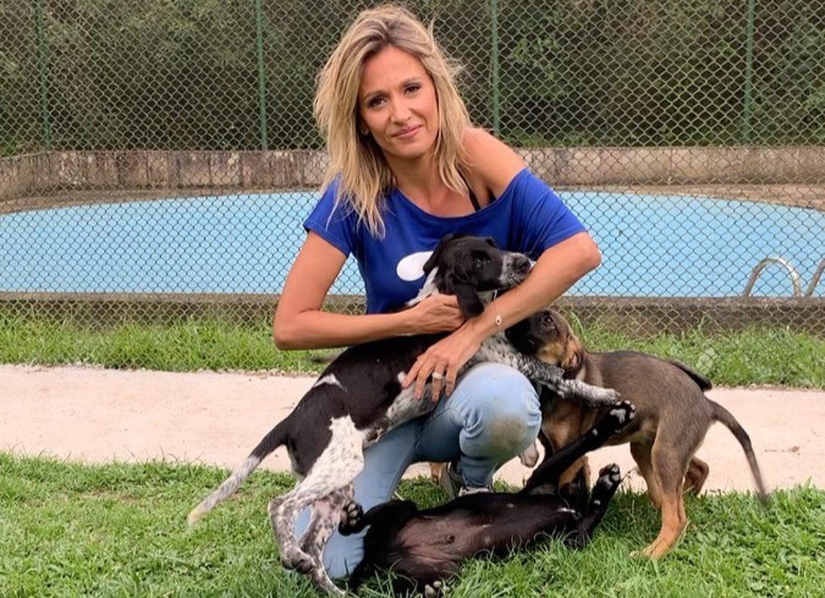 Borzoi ativista Luisa Mell nega roubo de cachorro e fala em processo: "acusações criminosas"