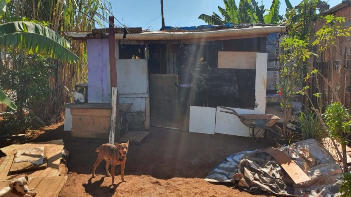Um homem tentou impedir que um suspeito mostrasse a genitália para família dele, mas é ferido com tiro do investigado, em Novo Gama