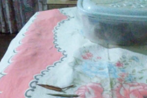 Lázaro pode ter voltado à propriedade invadida de manhã em busca de alimentos