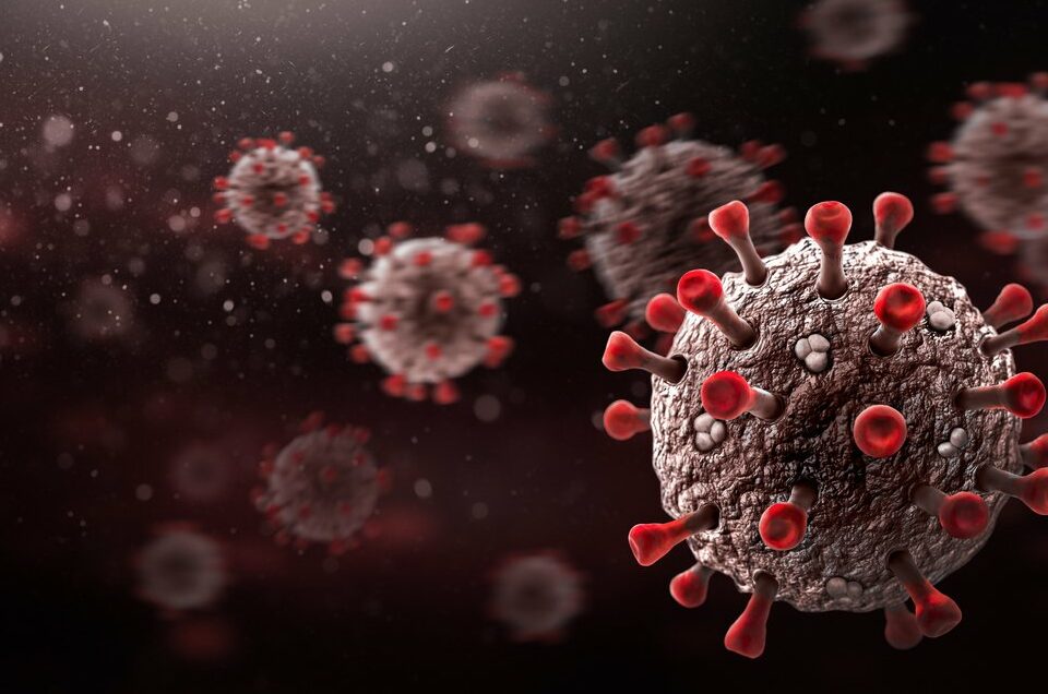 Corona Virus