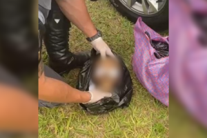 À polícia, o estrangeiro alegou que a ossada era do irmão mais velho já falecido, e que fazia o transporte por questões culturais