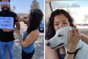 Mulher disse que o homem era "nojento e uma pessoa má" e que ele "sentir o que o animalzinho sentiu ao ser abandonado"