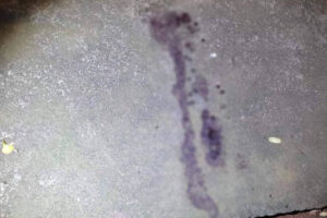 Um homem morreu durante uma briga de trânsito gerada após uma colisão entre dois carros, em Trindade. Vítima nem estava no acidente