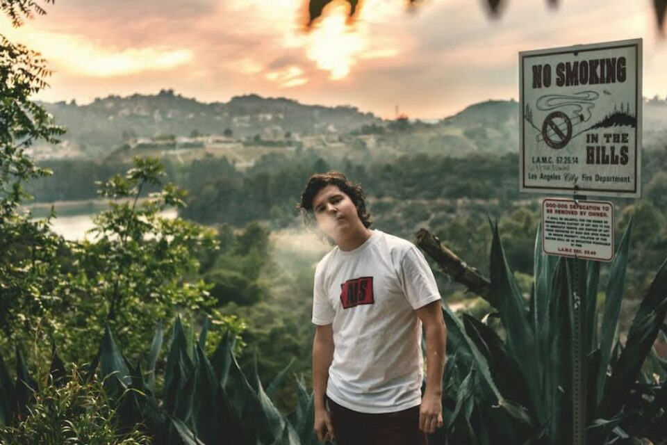 Festival In-Edit Brasil