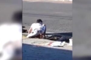 O estudante Miguel Nascimento, de nove anos, estava brincando de pipa com um amigo quando ouviu o miado de uma gato vindo de bueiro. Sem pensar duas vezes, o menino foi até o local de onde vinha o barulho e tirou o animal, - Gato preso em bueiro é salvo por menino de nove anos, em Rio Verde; vídeo