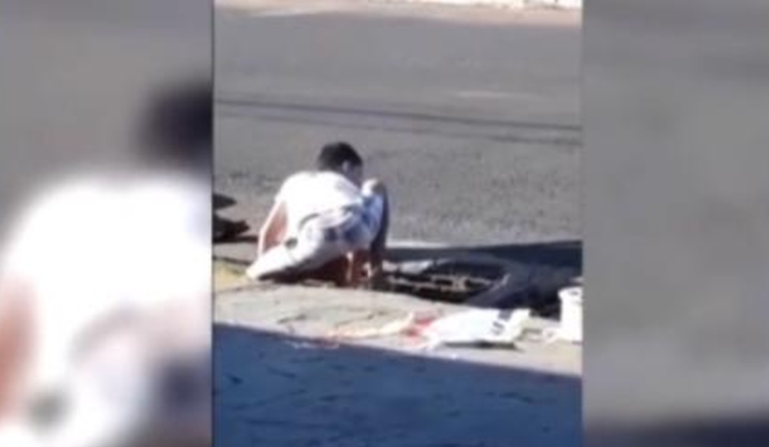 O estudante Miguel Nascimento, de nove anos, estava brincando de pipa com um amigo quando ouviu o miado de uma gato vindo de bueiro. Sem pensar duas vezes, o menino foi até o local de onde vinha o barulho e tirou o animal, - Gato preso em bueiro é salvo por menino de nove anos, em Rio Verde; vídeo