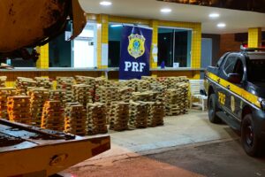 Motorista afirmou que pegou droga em Mineiros e que a entregaria em Aparecida de Goiânia