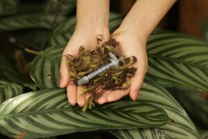 Rennova Green, Ação ambiental promove o descarte correto de seringas