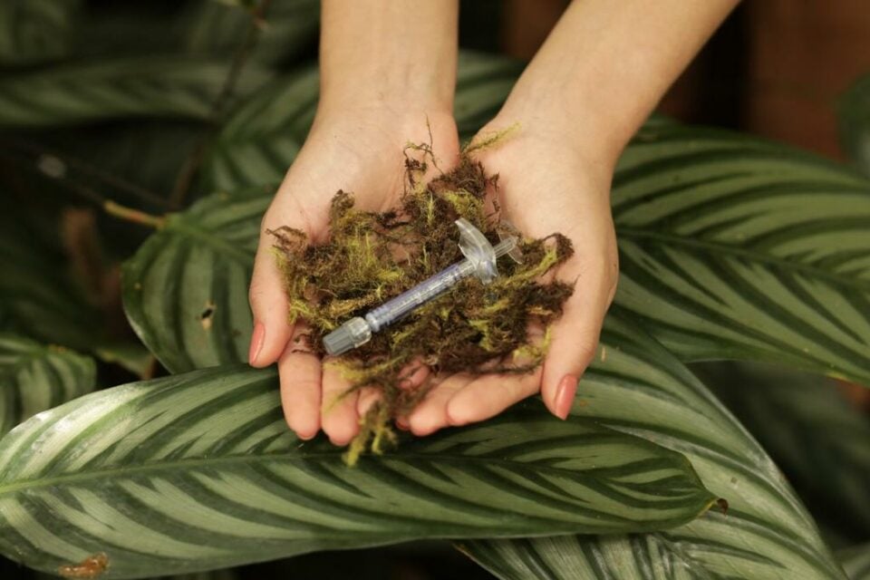Rennova Green, Ação ambiental promove o descarte correto de seringas