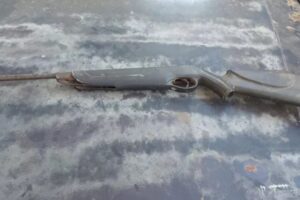 Um homem foi preso suspeito de atirar no joelho da filha de dois anos de idade neste domingo (6), em Niquelândia, na região norte de Goiás. As informações da Polícia Militar dão conta de que o investigado estava bêbado e, ao manusear a arma de fogo, apertou o gatilho e atingiu a filha.