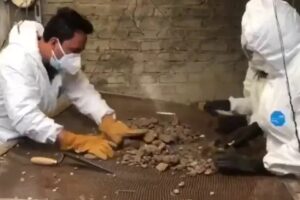 A polícia mexicana revelou ter encontrado 3.787 pedaços de ossos humanos, no sábado (12), durante escavações na casa de um homem acusado de ser um assassino em série. - Suspeito de canibalismo é preso com 3.787 pedaços de ossos sob sua casa, no México