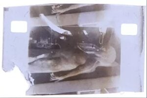 Foto de autópsia de alien é leiloada nos EUA; lances começam em R$ 5 milhões