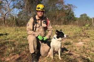A cadela Cristal, que atuou nas buscas em Brumadinho (MG), é o novo reforço da força-tarefa que tenta capturar Lázaro Barbosa Sousa. (Foto: divulgação/Corpo de Bombeiros)
