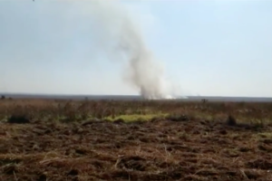 Incêndio no Parque das Emas (Foto: Reprodução/Vídeo)