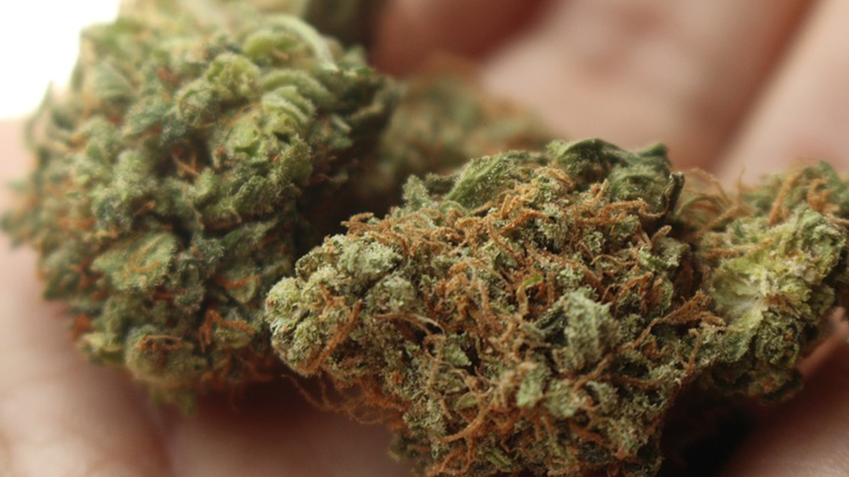 Polícia prende suspeitos de tráfico e apreende 25 kg de maconha em Aparecida