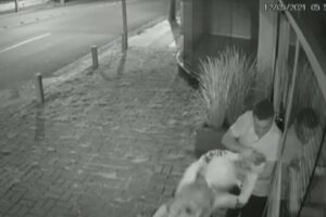 Mulher luta contra assaltante e tem ajuda de motorista de ônibus, em Anápolis