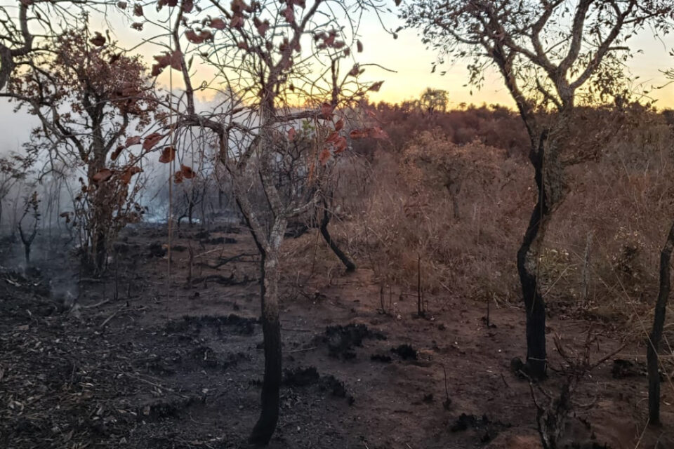 Parque das Emas não tem novos focos de incêndio, mas monitoramento prossegue