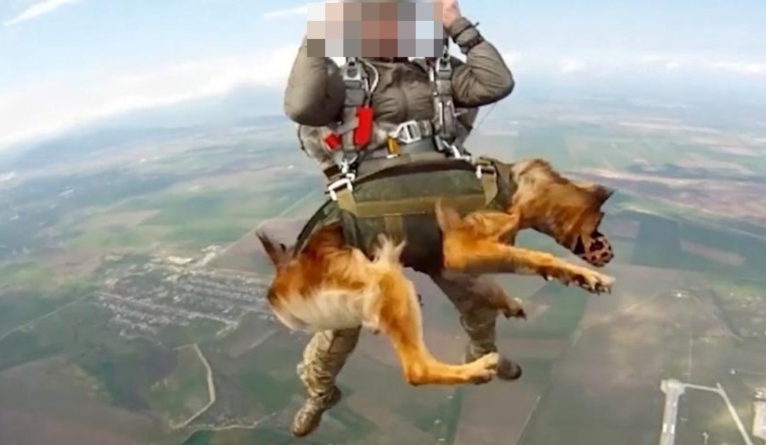 Exército de Putin treina cães paraquedistas e faz saltos de 4 mil metros