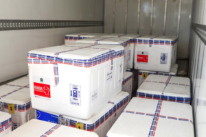 Goiânia e Aparecida receberam vacinas vencidas contra covid-19, da AstraZeneca (Foto: Jucimar de Sousa)