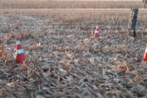 Polícia aguarda laudo para iniciar apuração sobre ossada humana encontrada por funcionários de lavoura em Perolândia