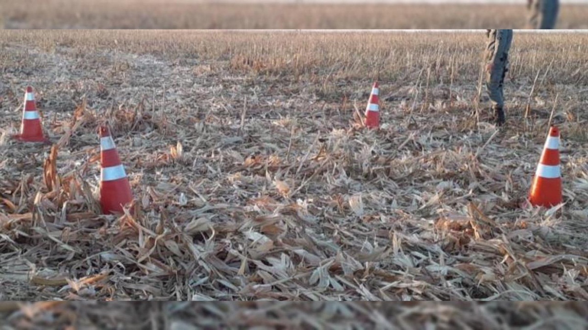 Polícia aguarda laudo para iniciar apuração sobre ossada humana encontrada por funcionários de lavoura em Perolândia