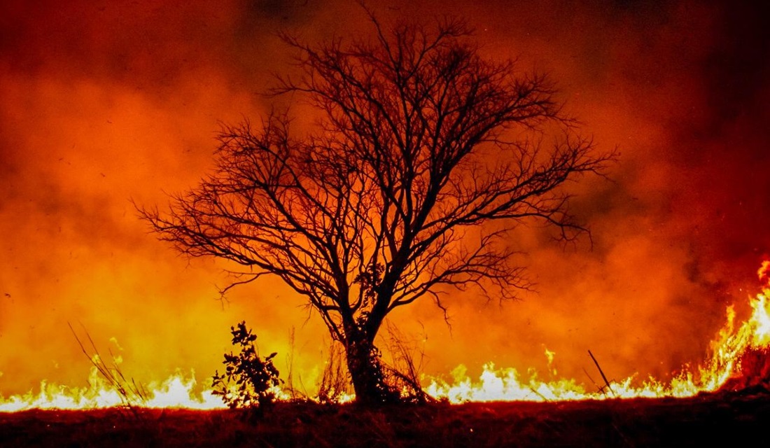 Amazônia tem junho com maior número de focos de incêndio desde 2007