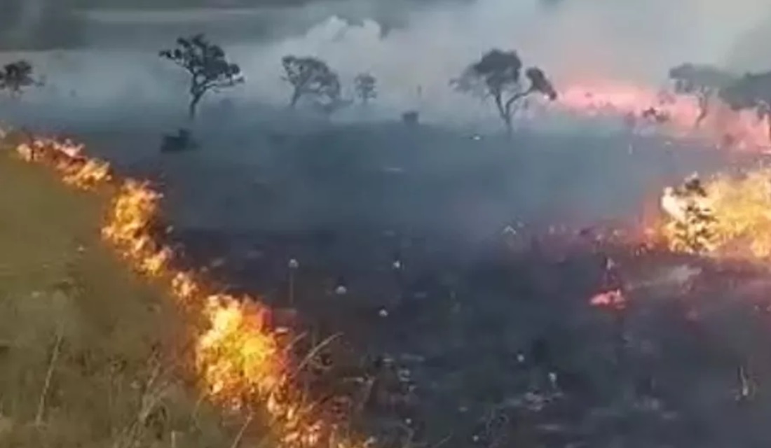 Incêndio atinge vegetação na Chapada dos Veadeiros, em Alto Paraíso; chamas foram controladas
