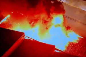 Negligência com Cinemateca é criminosa, diz ex-presidente da instituição