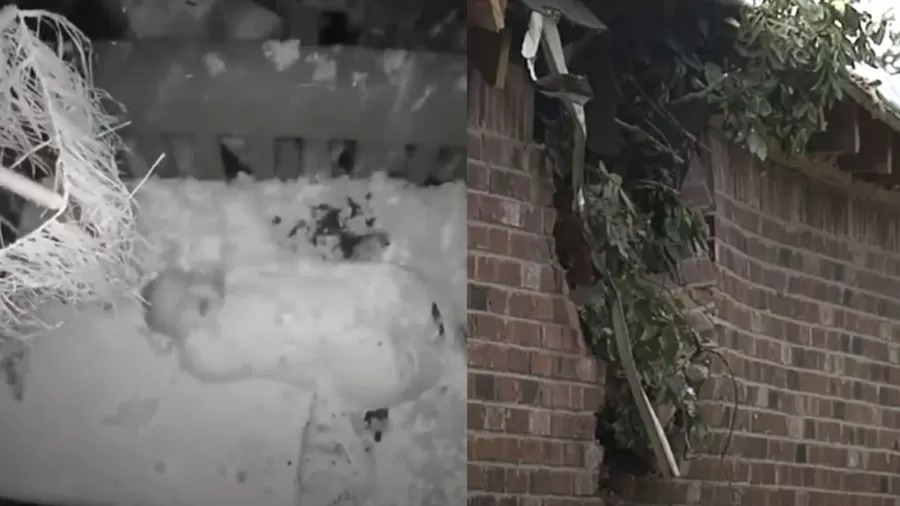 Árvore cai em quarto de bebê de 5 meses, nos EUA; vídeo