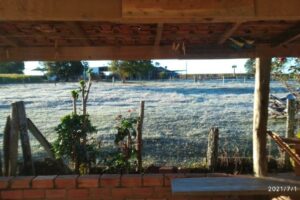 Cidades goianas registram geada nesta quinta-feira (1º). (Foto: leitor/Mais Goiás)