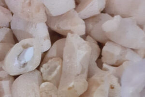 Mulher é presa ao tentar passar drogas em biscoitos no presídio de Aparecida