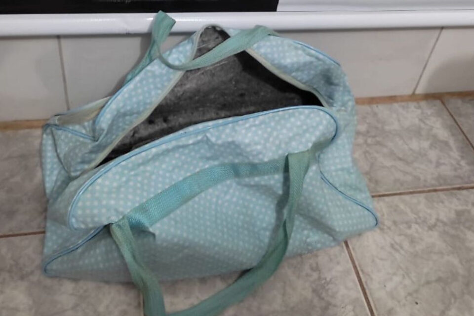 Polícia encontra drogas e arma dentro de bolsa em bebê, em Carmo do Rio Verde