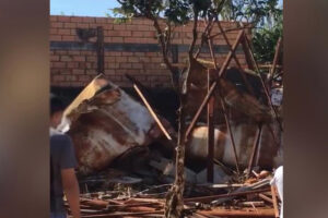 15 bairros de Senador Canedo ficam sem água após reservatório desabar