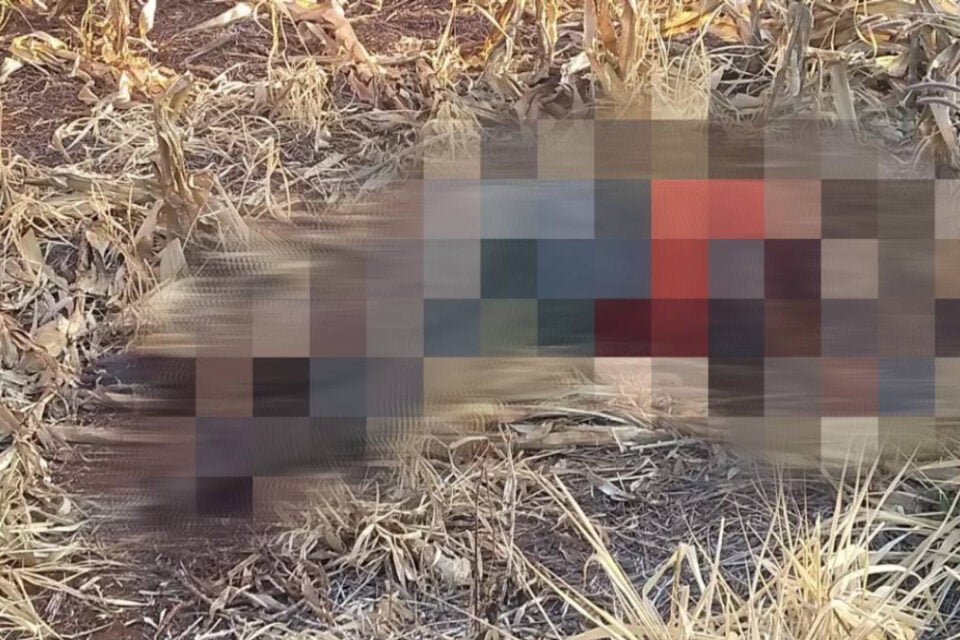 Busca por cavalo perdido termina com detecção de cadáver humano em Rio Verde (Foto: Divulgação/PC)