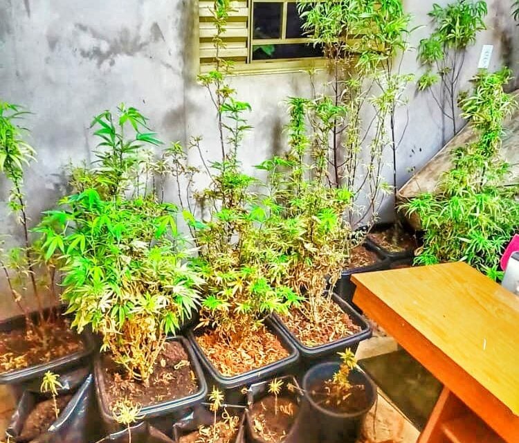 Um dos presos também seria dono de um carregamento de drogas apreendido na semana passada em Jataí