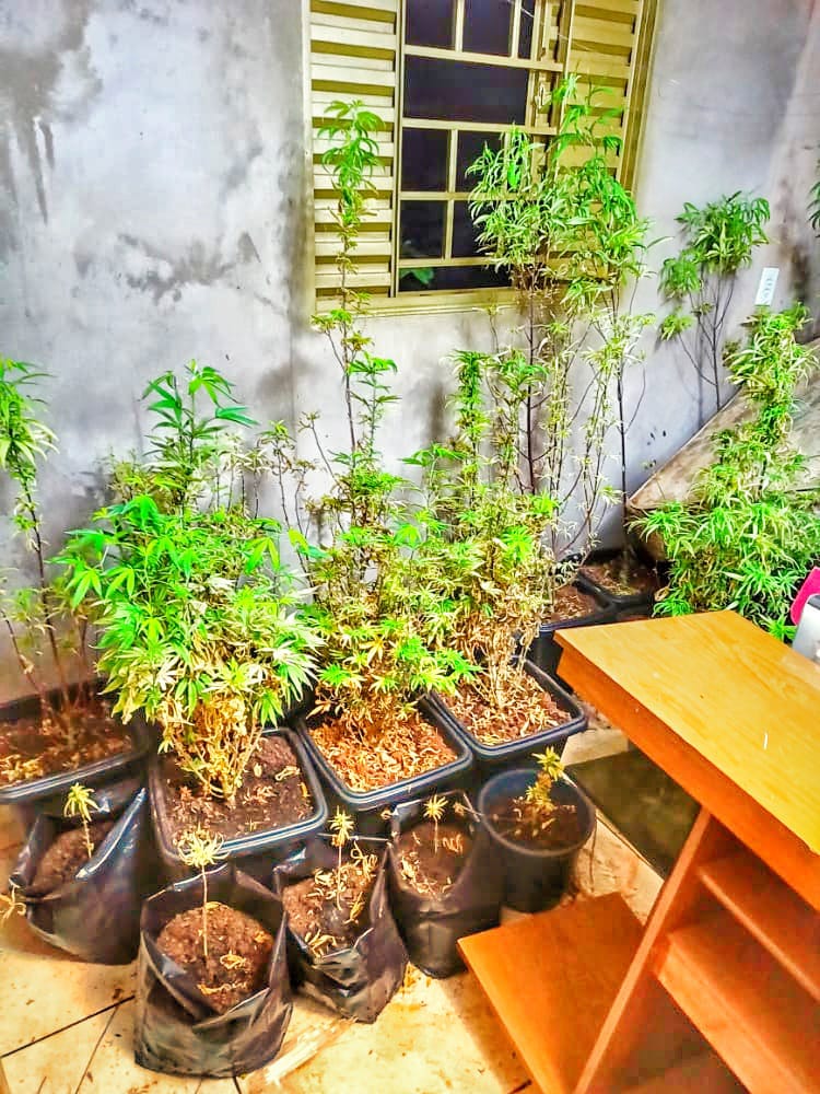 Um dos presos também seria dono de um carregamento de drogas apreendido na semana passada em Jataí