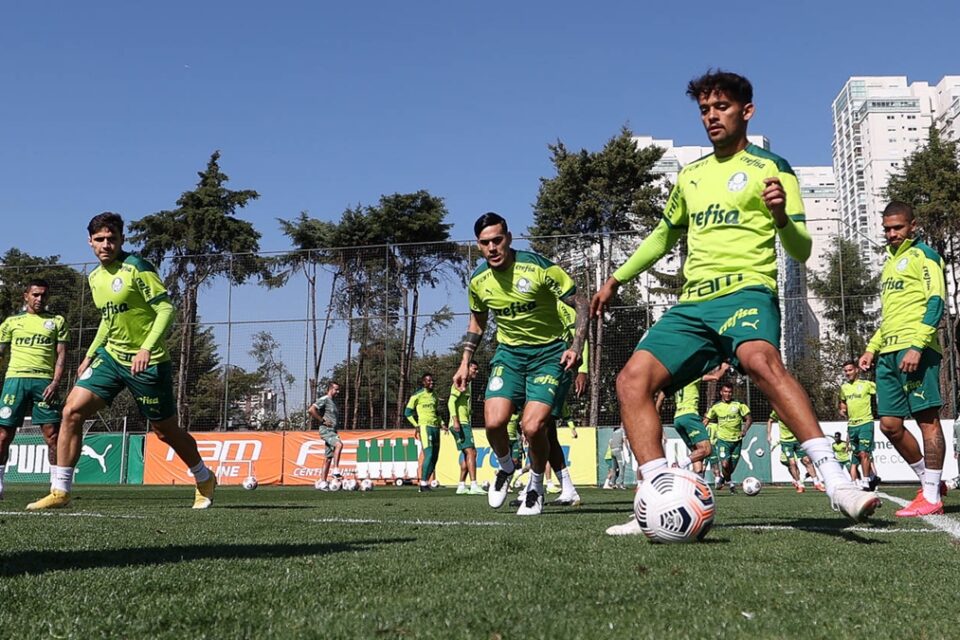 Palmeiras