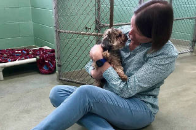Dona reencontra o cão sete anos depois (Foto: Arquivo pessoal)